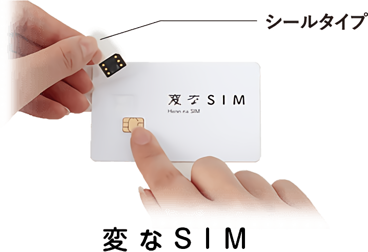 変なSIMとは?他とは全く違う海外用SIMカードの使い方やメリットを解説!