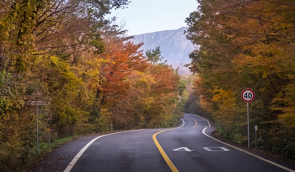 千葉のドライブスポットを徹底解説!一度は行きたい観光スポットが目白押し!