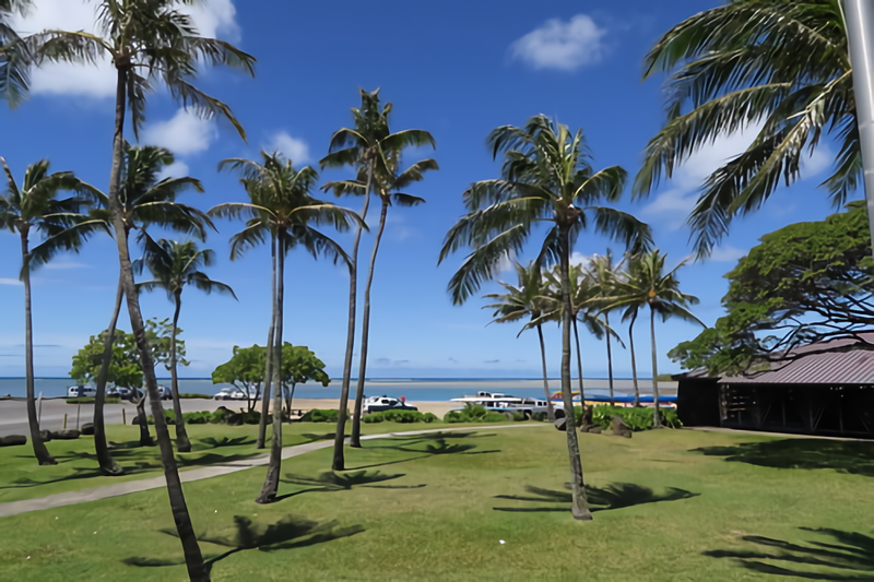 ハワイの名物「コナビール」にはどんな種類がある?日本で飲む方法もご紹介!