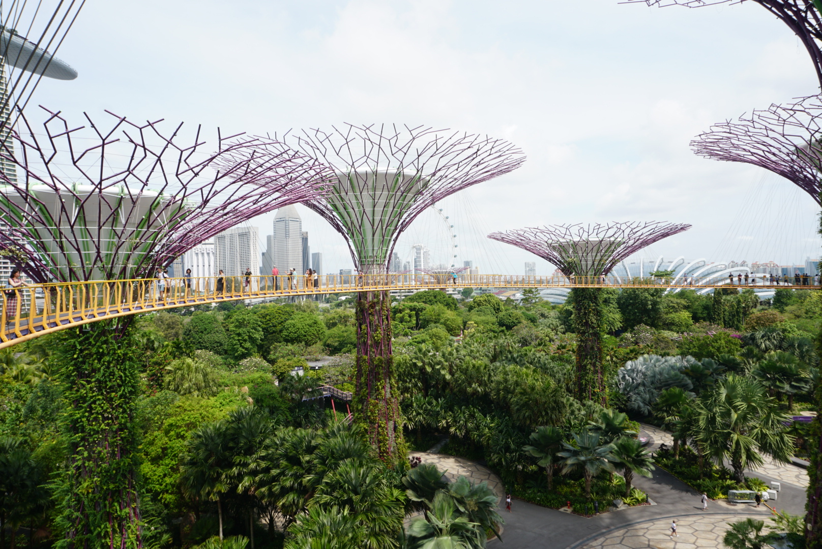 シンガポールの2大植物園を解説！ボタニックガーデンとガーデンズバイザベイ！