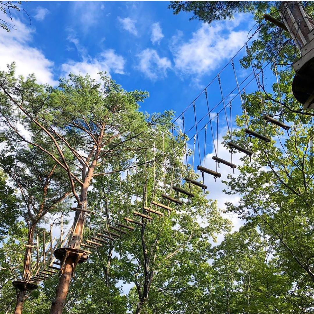 愛知のレジャーにぴったりなアスレチック10選！無料のスポットもご紹介！