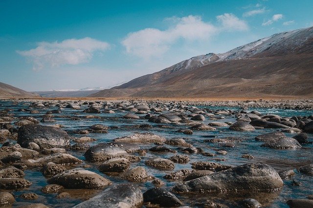 長野県伊那市周辺で食べられている「ざざ虫」って？