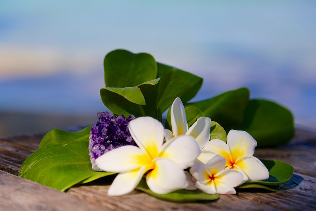 ハワイ諸島は太平洋に浮かぶ自然豊かな楽園！主な8つの島の特徴を解説！