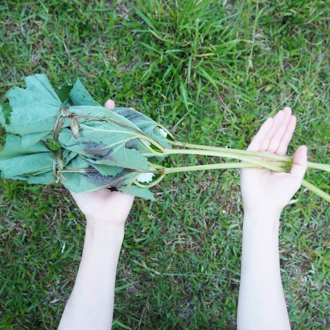 蕗俵とは?伊賀などの郷土料理の特徴・作り方をご紹介!